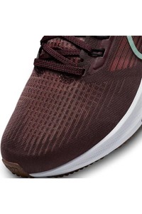  Nike Wmns Air Zoom Pegasus 39 Spor Ayakkabı DH4072-600