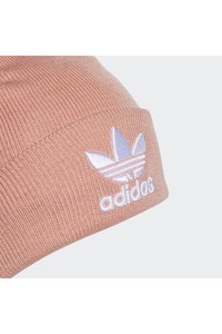  Adidas Trefoil Beanıe Bere Dv2486 DV2486