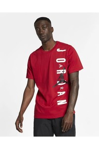  Nike Nıke Jordan M Jsw Tee Hbr Vertıcal Jrdn T-sirt DA9622-687