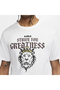  Nıke Df Lebron Strıve For Greatness Basketball Erkek Tişört - CD1320-100