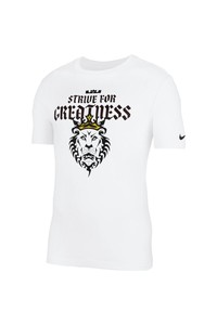  Nıke Df Lebron Strıve For Greatness Basketball Erkek Tişört - CD1320-100